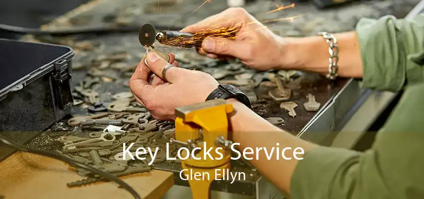 Key Locks Service Glen Ellyn