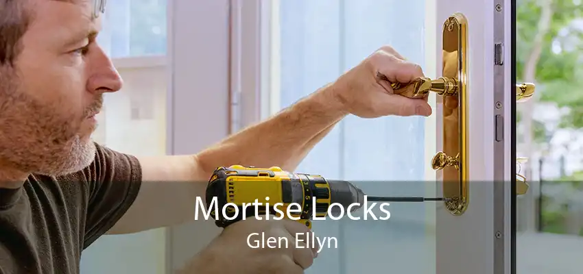 Mortise Locks Glen Ellyn